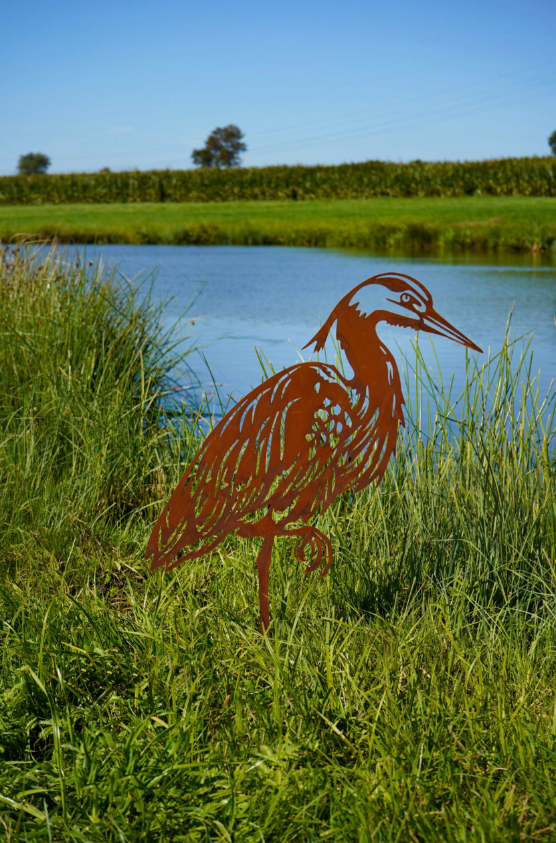 Fischreiher zum stecken